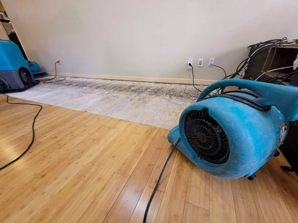 Professional Water Extraction technician working in Yoder, CO